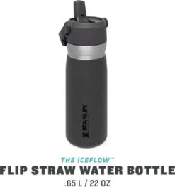 Stanley The IceFlow™ Flip Straw Water Bottle 0,65L - Thermosfles - Saffron 27 Stanley The IceFlow™ Flip Straw Water Bottle 0,65L - Thermosfles - Saffron -Kwaliteitskeukenwinkel Voor Thuis 1128x1200