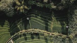 Sola Bestekset Bali - Modern - 9 Persoons - 90 Delig - Zilverwit Edelstaal 18/10 - RVS - Zilver -Kwaliteitskeukenwinkel Voor Thuis 1200x675 16