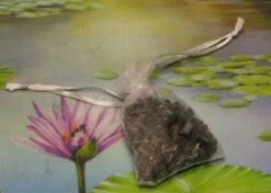 1000g Shungiet Shungite Stenen Voor Water En Ontstoring -Kwaliteitskeukenwinkel Voor Thuis 1200x853