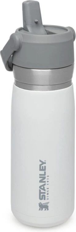 Stanley The IceFlow™ Flip Straw Water Bottle 0,65L - Thermosfles - Lagoon -Kwaliteitskeukenwinkel Voor Thuis 396x1200 1