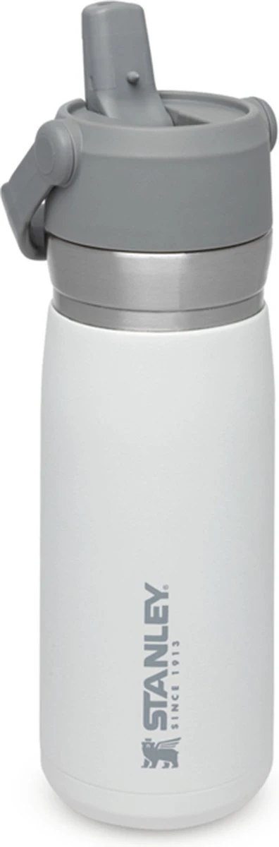 Stanley The IceFlow™ Flip Straw Water Bottle 0,65L - Thermosfles - Saffron 16 Stanley The IceFlow™ Flip Straw Water Bottle 0,65L - Thermosfles - Saffron - Afbeelding 16