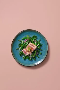 Palmer Serviesset Lotus Stoneware 6-persoons 24-delig Zwart Turquoise -Kwaliteitskeukenwinkel Voor Thuis 801x1200 3