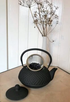 Bredemeijer - Theepot Fujian 1.2L Met Filter -Kwaliteitskeukenwinkel Voor Thuis 831x1200