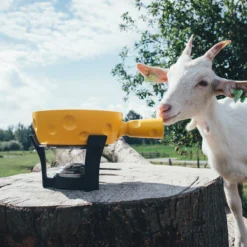 Boska Fondueset Cheesy - 6 Personen - Geel/zwart - 1.3 Liter -Kwaliteitskeukenwinkel Voor Thuis 853512 BOSKAFondueSetSuperCheesy 2 2400x