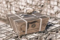 Anovi Oestervorkjes - 4 Stuks -Kwaliteitskeukenwinkel Voor Thuis Oysterforks