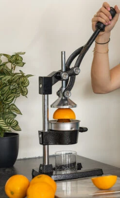 Sareva Citruspers - Gietijzer - Hevelmodel - Zwart -Kwaliteitskeukenwinkel Voor Thuis citruspers 4 1